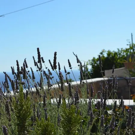 A Premium House In Chora Διαμέρισμα Πάτμος