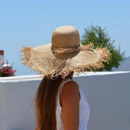 A Premium House In Chora *