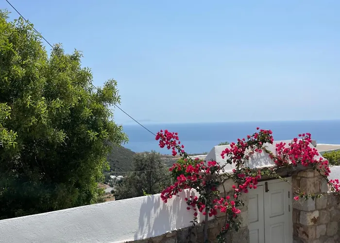 A Premium House In Chora شقة